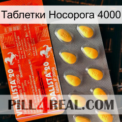 Таблетки Носорога 4000 new01